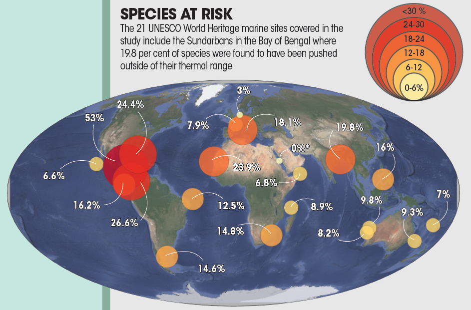 Engaging Communities to Safeguard Ocean Life